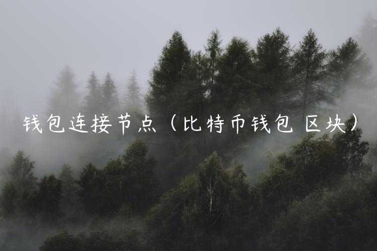 钱包连接节点（比特币钱包 区块）