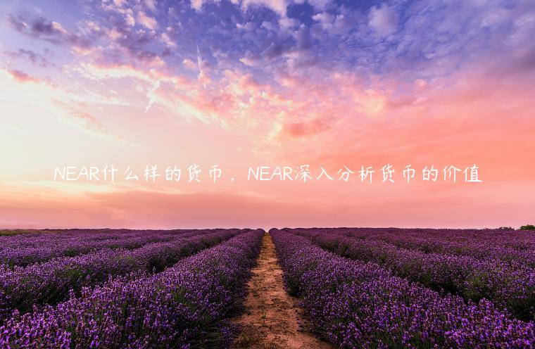 NEAR什么样的货币，NEAR深入分析货币的价值