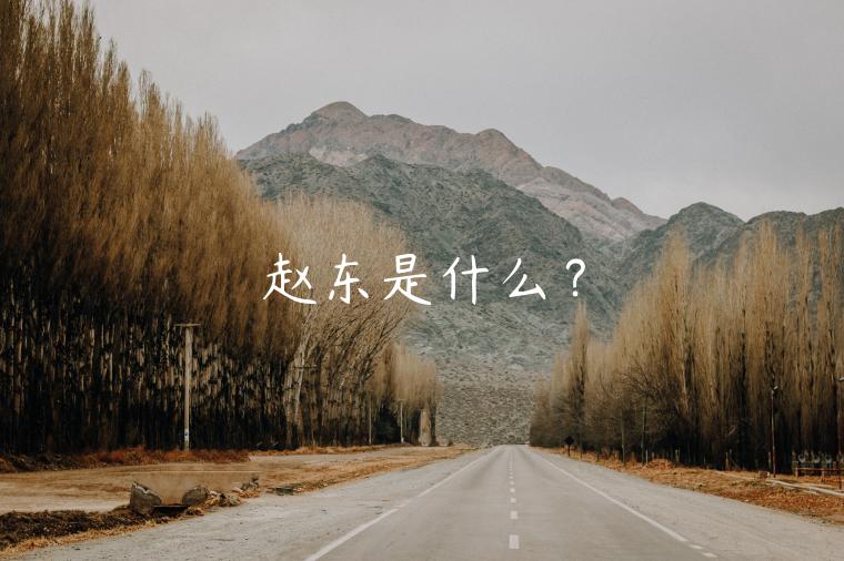 赵东是什么？