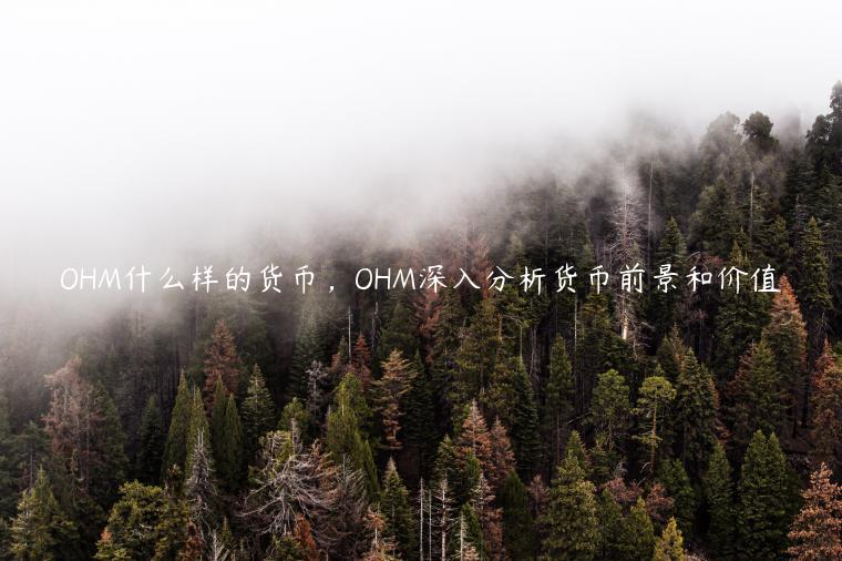 OHM什么样的货币，OHM深入分析货币前景和价值