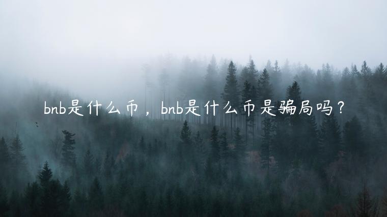 bnb是什么币，bnb是什么币是骗局吗？