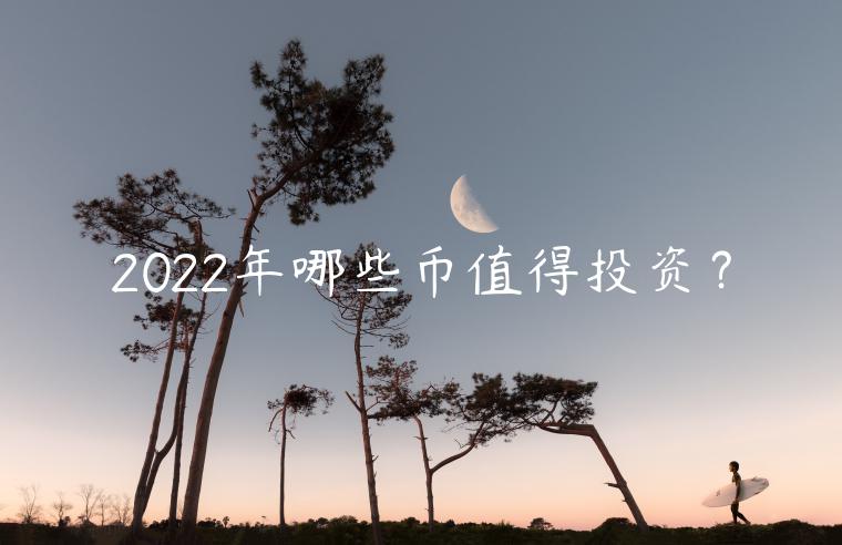 2022年哪些币值得投资？