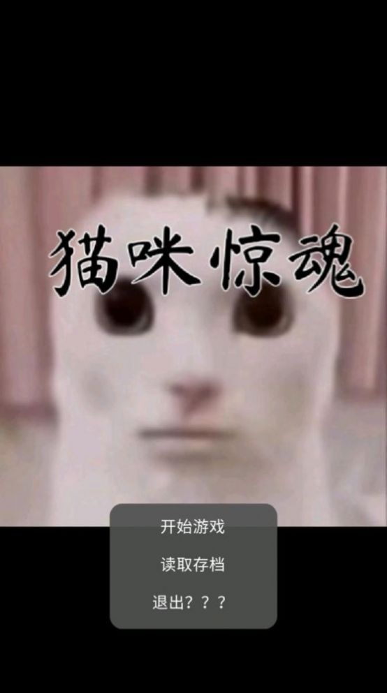 猫猫惊魂官方版