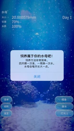 养育水母的治愈安装