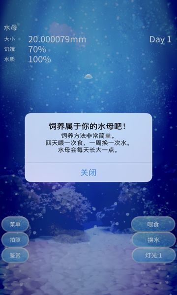 治愈的养成水母正式版