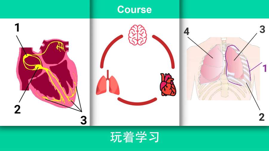 现实医疗模拟器最新版