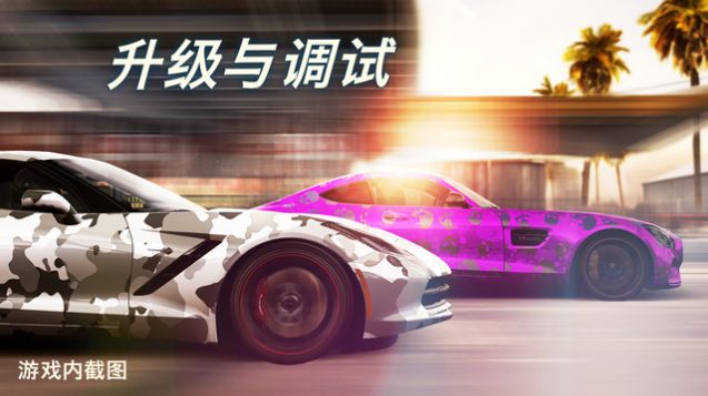 CSR2下载