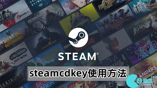 steamcdkey使用方法