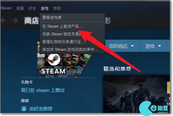 steamcdkey使用方法