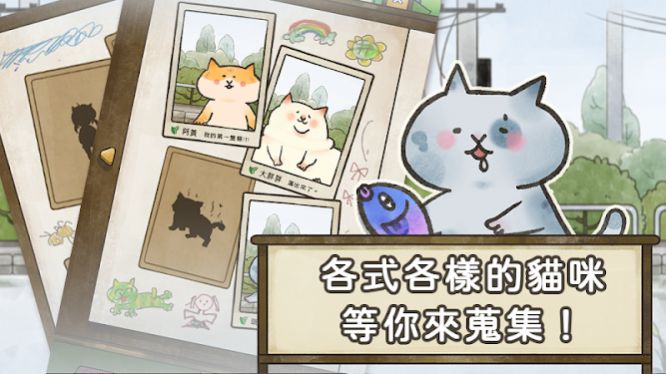 猫箱物语免费正版