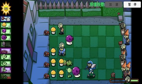 pvz_bt芦苇花