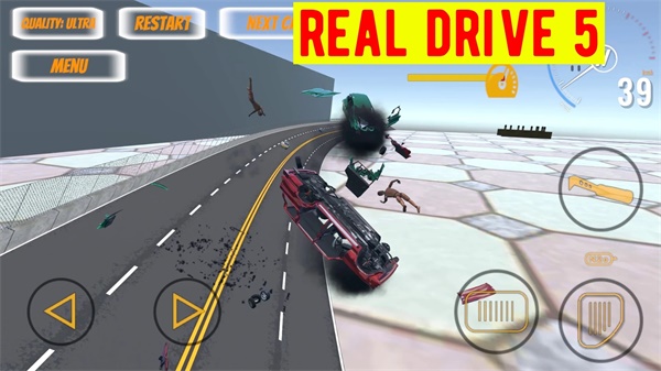 RealDrive5