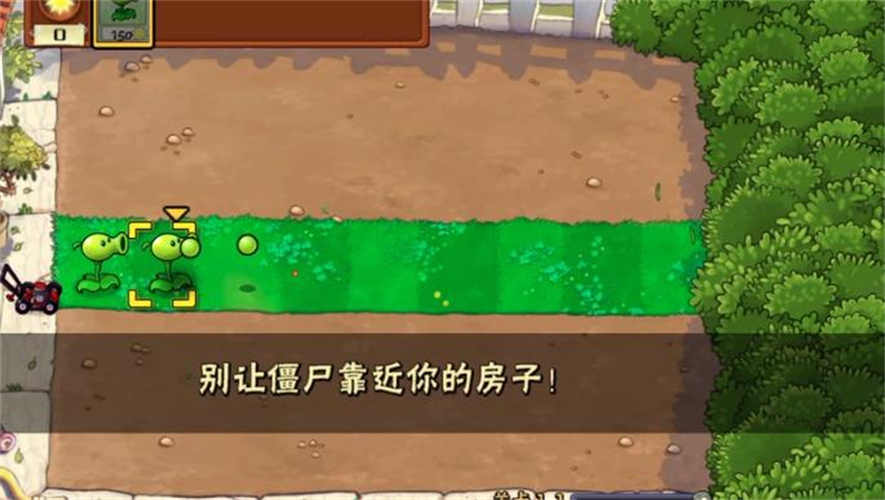 植物大战僵尸War最新版