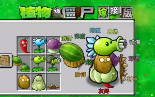 植物大战僵尸嫁接版免费正版