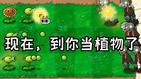 植物大战僵尸繁琐版下载