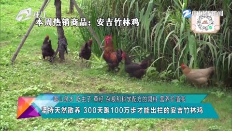 云电视pro电视版下载