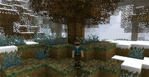 生存战争2.4正版下载