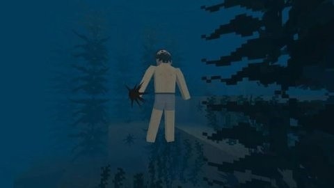 生存战争2.4正版下载