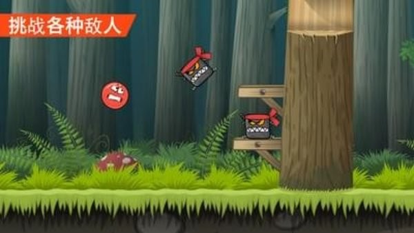 红球冒险4下载