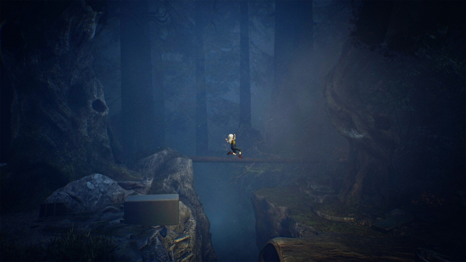 寂静之国的波斯菊免安装中文正式版