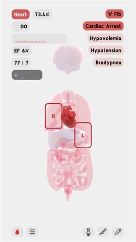 生命life安卓版中文下载