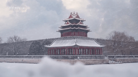 剧迷宝tv官方app下载